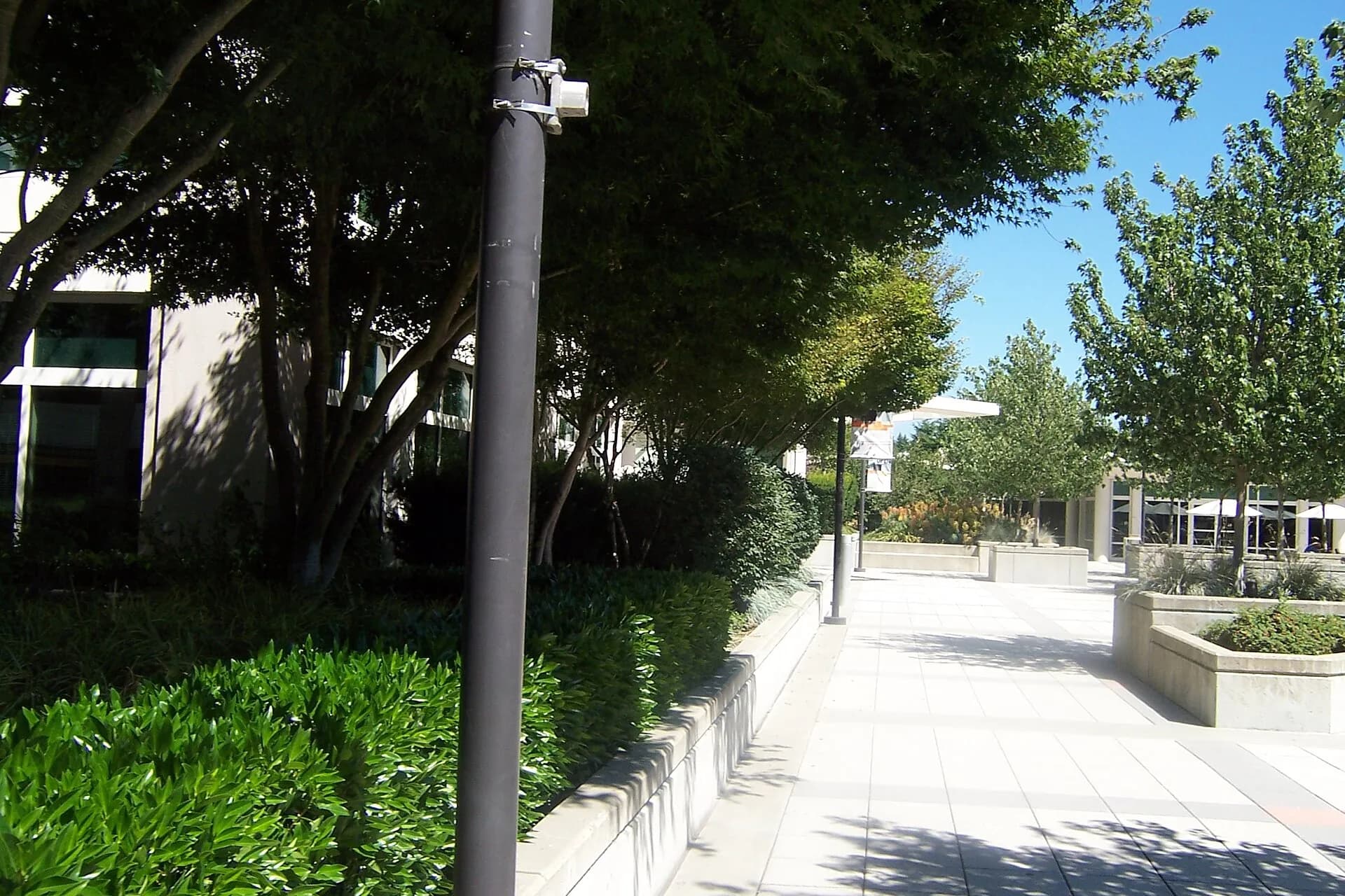 A plaza between buildings and walkways, somewhere on the Microsoft Redmond campus in July 2006.