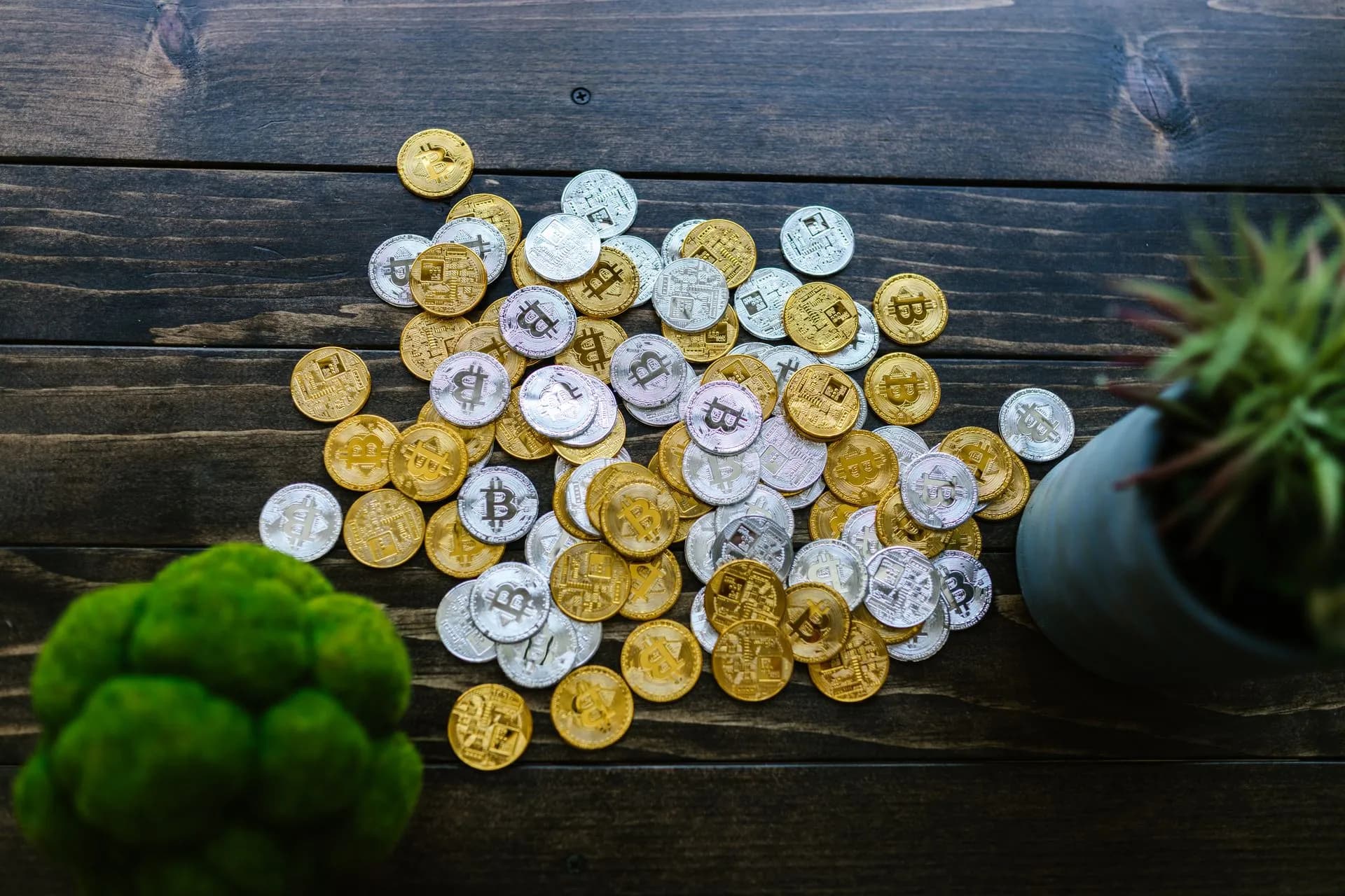 Gold and silver bitcoin coins mixed on a wooden surface with potted plants, illustrating AI spending controls spread