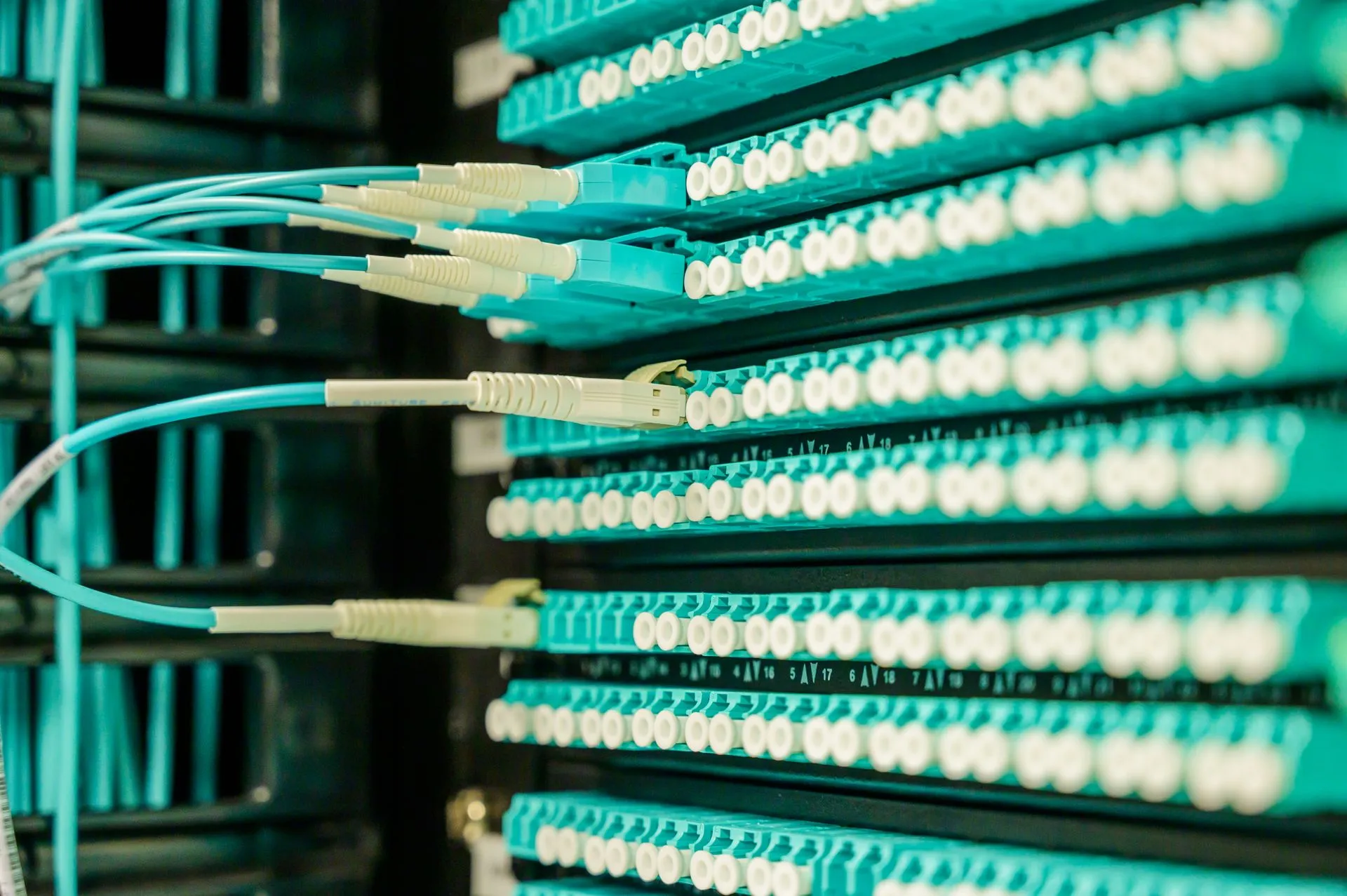 Networking cables plugged into a patch panel, showcasing data center connectivity, illustrating GPU cloud contracts lock in AI buyers as Axe Compute collects over $184 million upfront