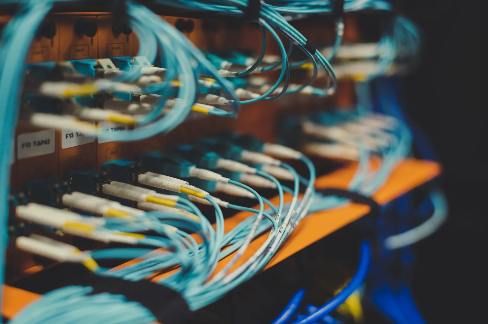 Closeup of many cables with blue wires plugged in modern switch with similar adapters on blurred background in modern studio, illustrating HMRC Capgemini payments reached at least £4.2 billion