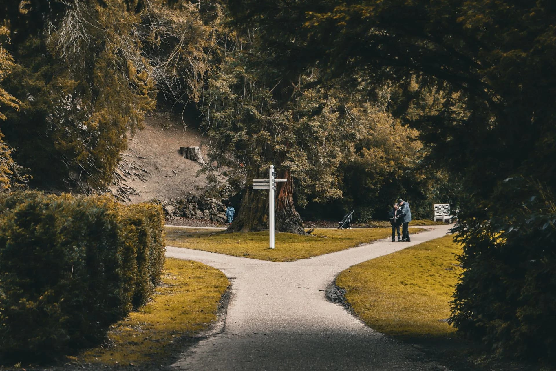 Picturesque park scene with a forked path and signpost, inviting exploration, illustrating Jev decision model is up to 445x cheaper than LLMs, TypeSafe says, and clones run locally
