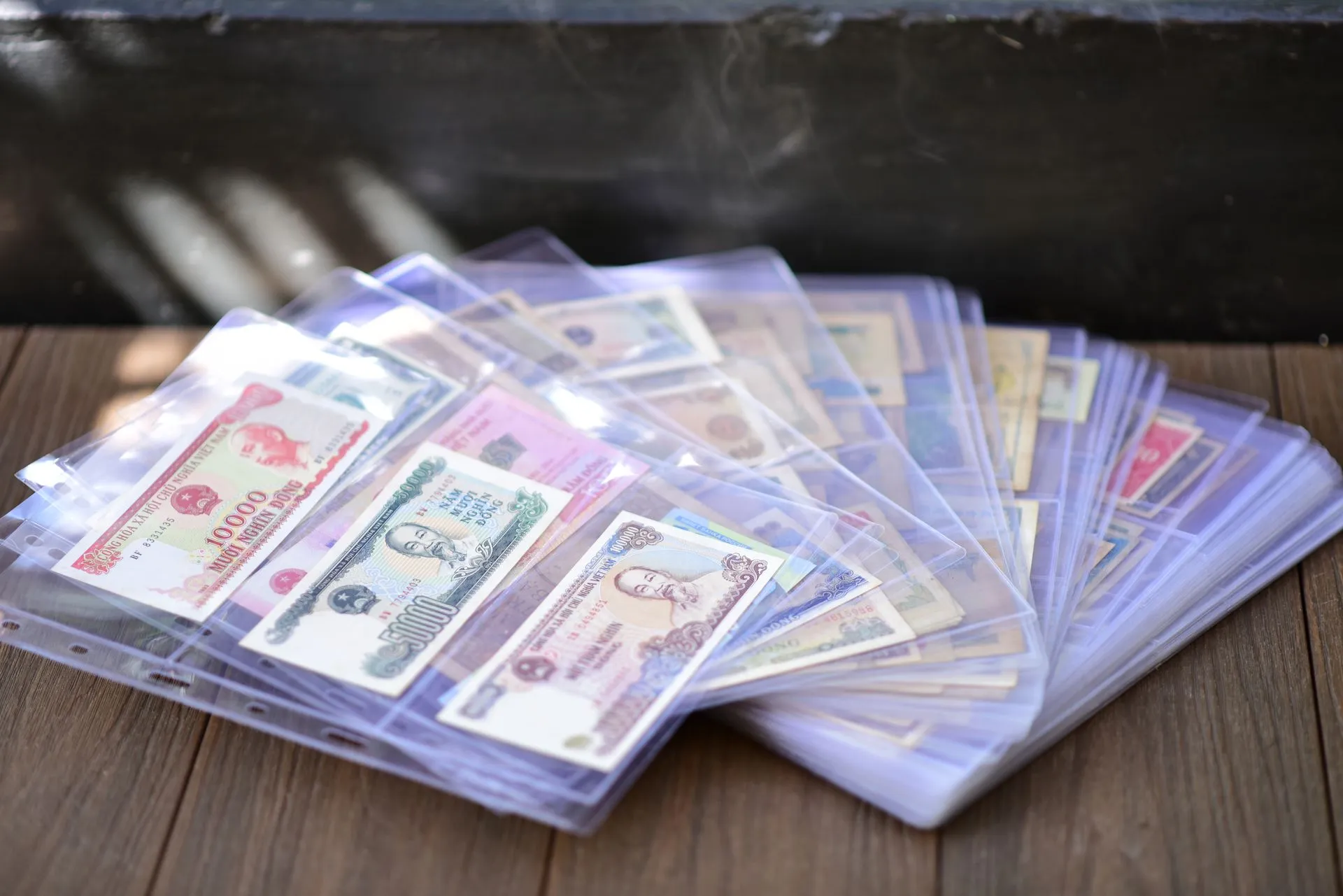 Diverse collection of international banknotes stored in protective sleeves, showcasing world currencies.