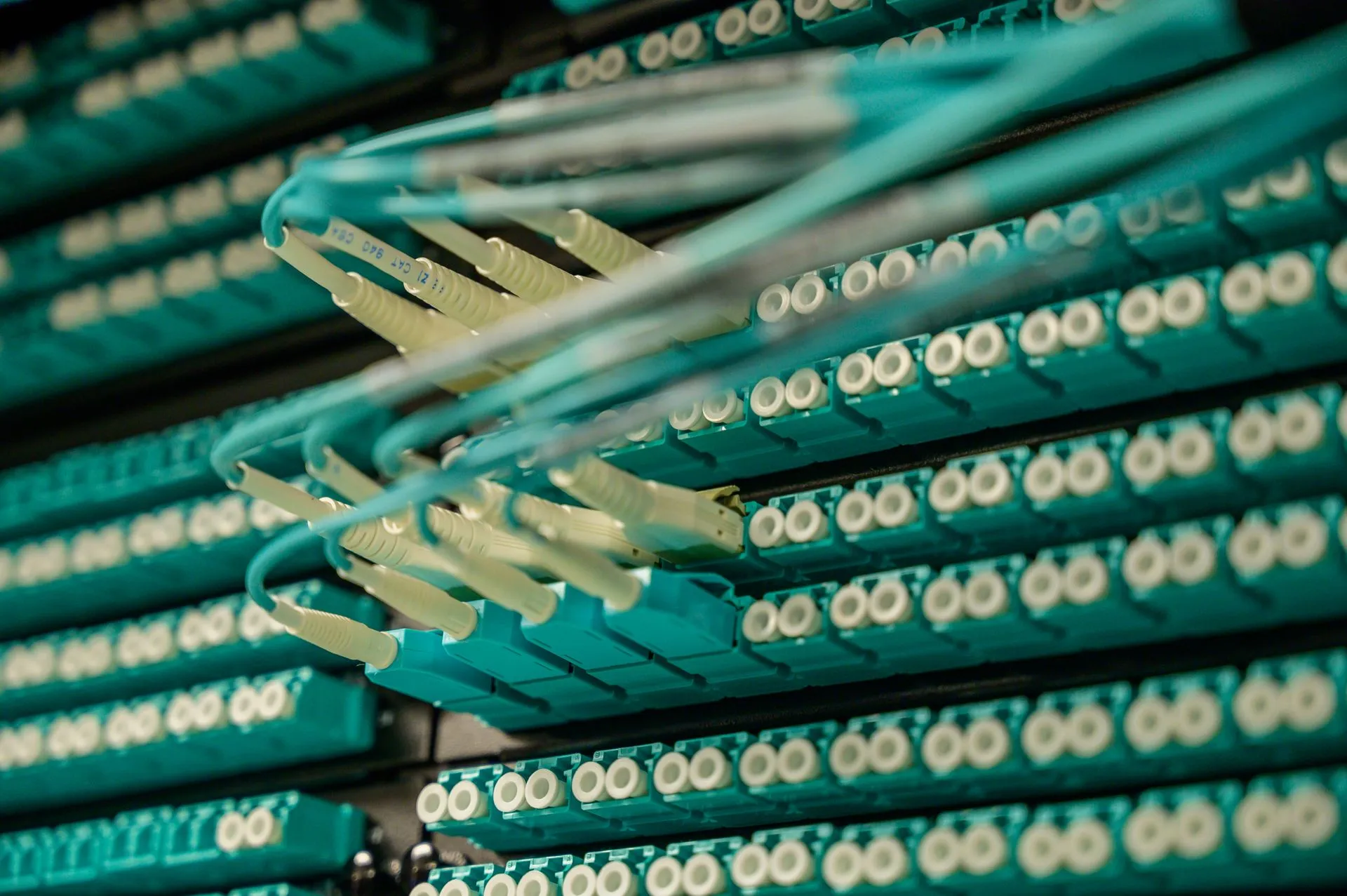 Detailed view of fiber optic cables connected to a server rack, showcasing modern technology, illustrating Ofcom blocks Openreach discount of up to £9.50 a month on new full-fiber lines