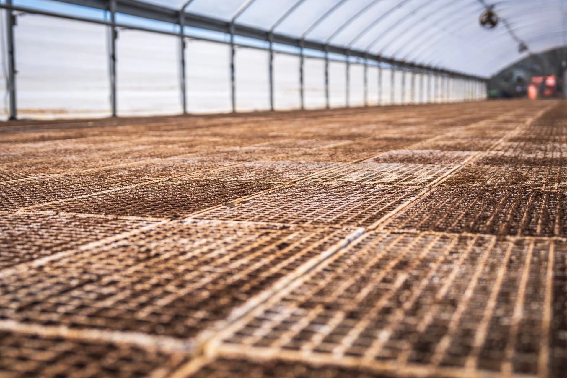 Wide view of a greenhouse interior with soil-filled trays, ready for planting, illustrating Peak XV Surge lifts seed checks to $5 million, saying the Series A bar has risen